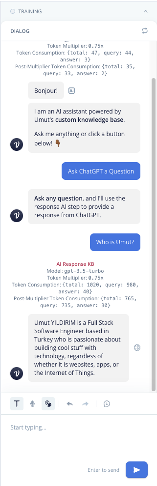 Voiceflow First Test
